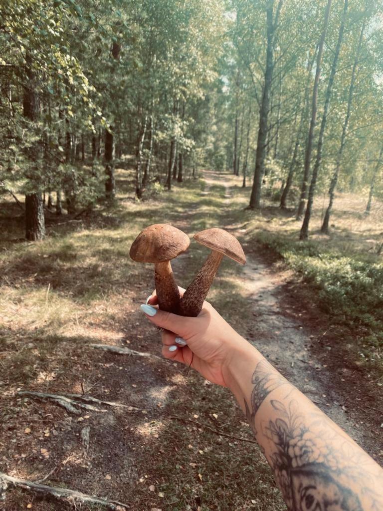 Domek Bartoszylas Z Sauna I Balia Exterior foto